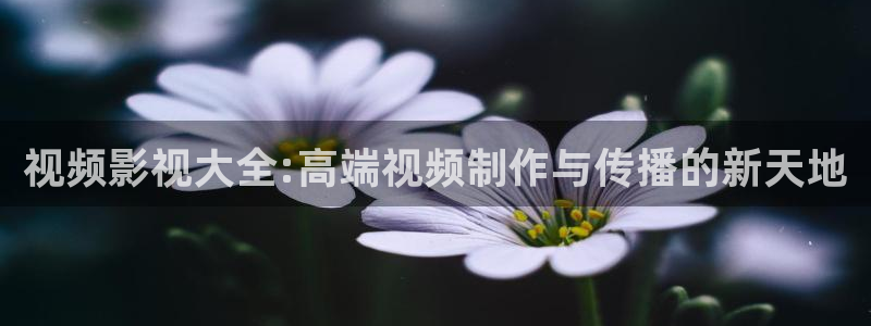 丝瓜视频污导航：视频影视大全:高端视频制作与传播的新天地