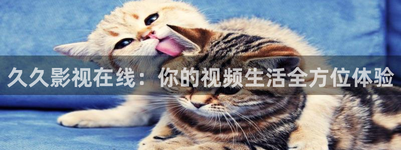 丝瓜在线观看免费高清