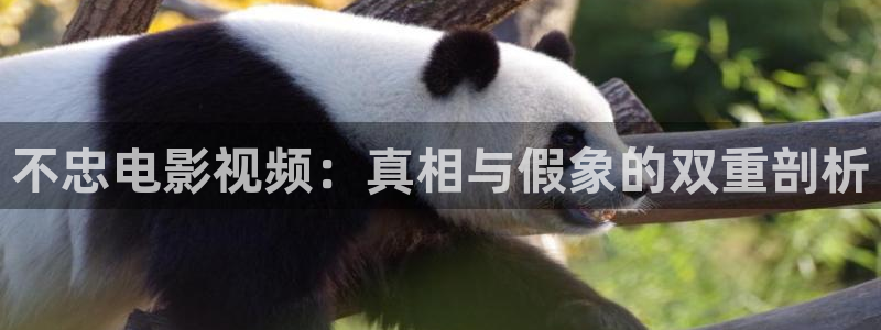 丝瓜视频旧版本下载：不忠电影视频：真相与假象的双重剖析