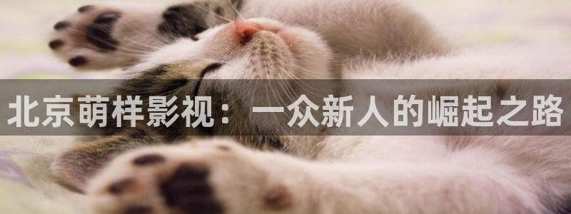 丝瓜视频草莓视频在线观看：北京萌样影视：一众新人的崛起之路