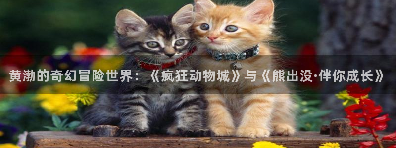 丝瓜视频变态版：黄渤的奇幻冒险世界：《疯狂动物城》与《熊出没·伴你成长》