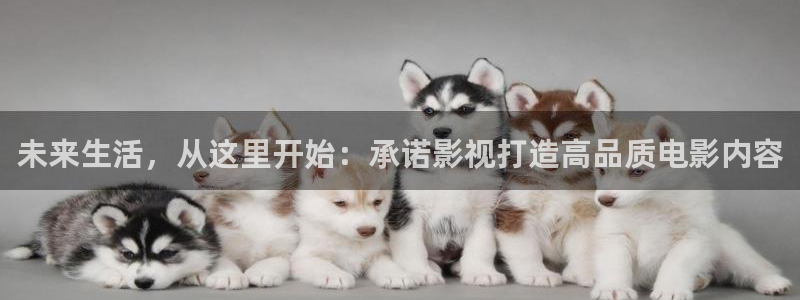 在线无限看免费丝瓜视频：未来生活，从这里开始：承诺影视打造高品质电影内容