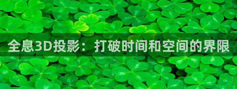 八角丝瓜