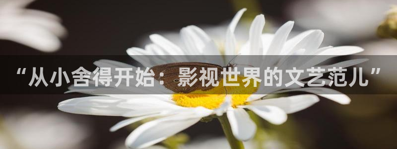 丝瓜视频在线观看黄