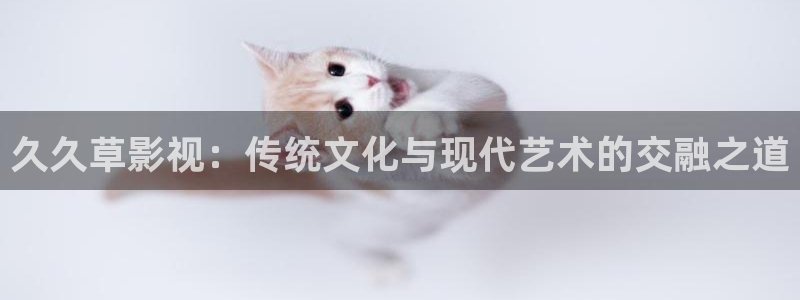 丝瓜视频下载官网