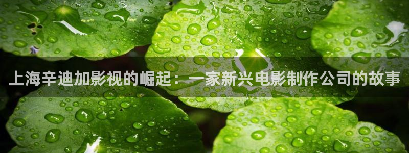 丝瓜视频动漫